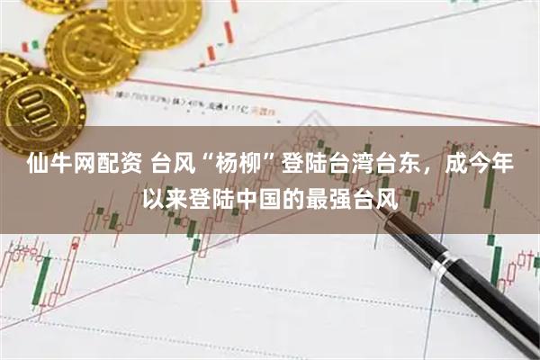 仙牛网配资 台风“杨柳”登陆台湾台东，成今年以来登陆中国的最强台风